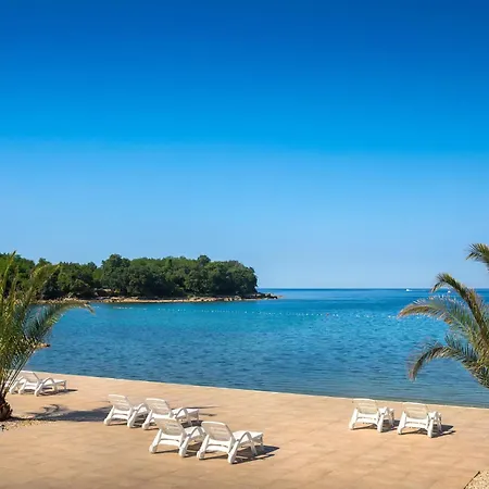 Awesome In Novigrad With Swimming Pool