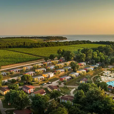 Prázdninový dům Awesome In Novigrad With Swimming Pool