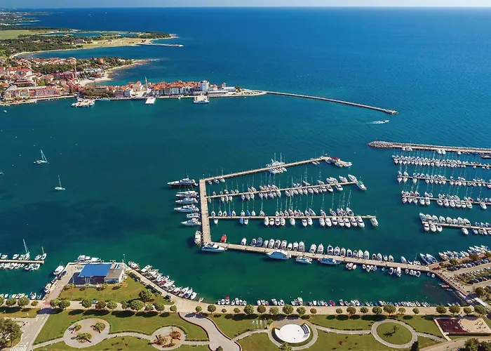 Amazing In Novigrad With Wifi *